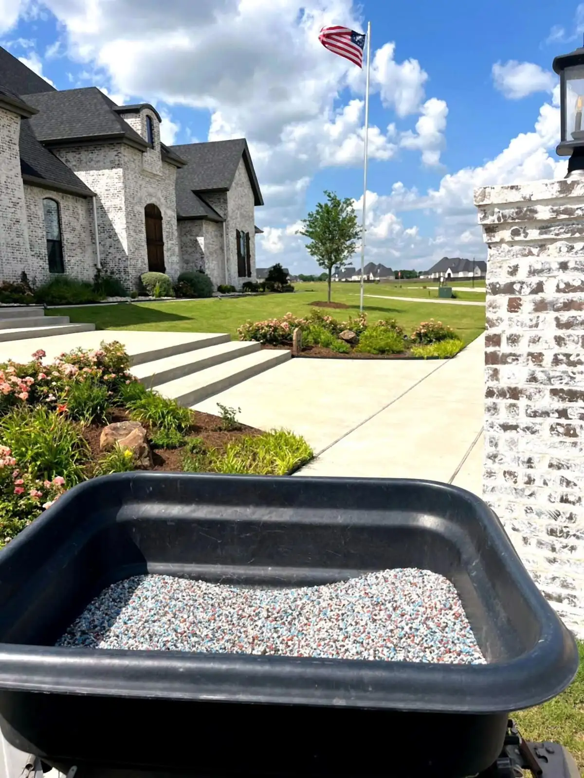 A loaded fertilizer spreader beside walkway beds of roses and daylilies at a brick home.