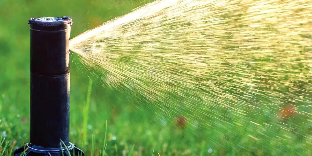 A sprinkler head spraying an even arc of water across green turf in Central Texas.
